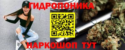 крисы Пушкино