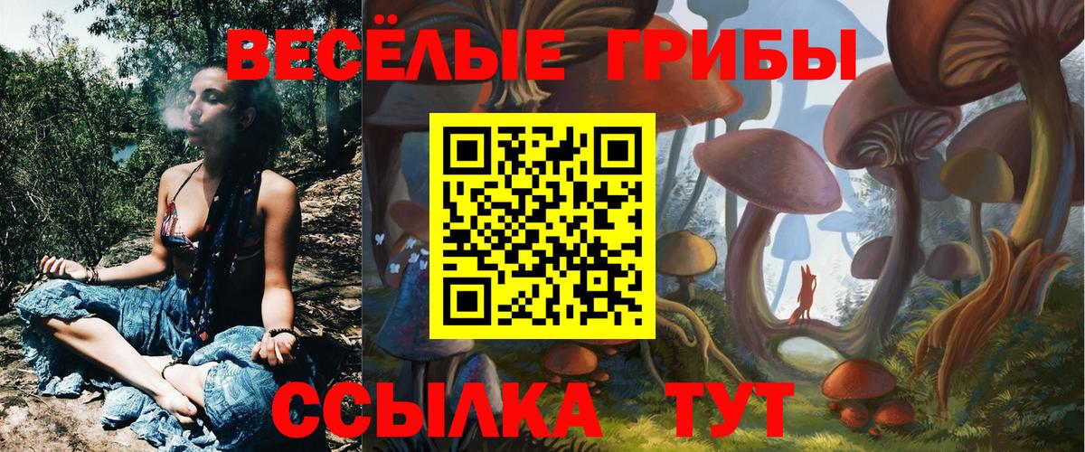 Галлюциногенные грибы Magic Shrooms Орёл